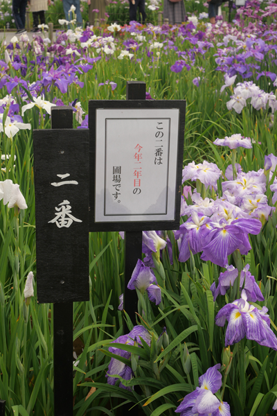 画像 -20250612-054221-e5210aa9